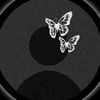 networkzaya