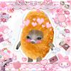 xkittennuggetx