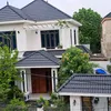 manhhaicuong1