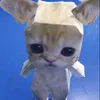 linczix_
