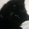 alfasigmamalebabab
