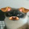 jytomolly
