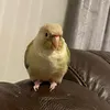 vicky_h78