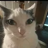 jiafeiflopforlife