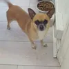 mylesgodwinisbest91