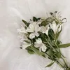 liinaa_elmii