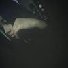 xoxo.nisaaa8