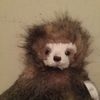 lowie_the_sloth