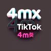 4.m_x