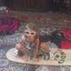 caitlin.ganse