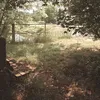 userngjgvlphiy