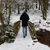 thezenkofox