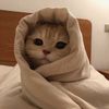 ali.net_