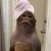 etlogalat