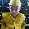 diimmiss