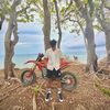 inol_davinsi