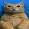 tsfrick