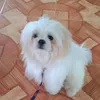 yehanxi