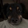 roscoe101522