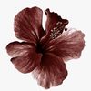 ๋࣭ ⭑tyar4🦋๋࣭ ⭑