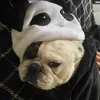 pimousse77