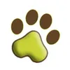dogtcha