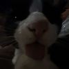 abyys_wrld