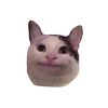 noone3_0
