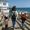 mellis_am