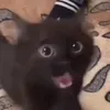 neithhhh