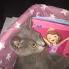 zoitila123