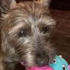 kinsey.eirikson
