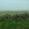 zzzyzyzy