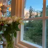 pluppisw