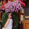 sharlynn222