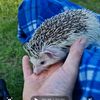 glen_loves_nature_uk