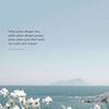 _hibiscus11