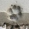 pfote.de
