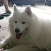 everythingissnowlaxxxxx