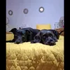 natycontreras8