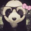 kittykatlover05