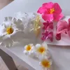 s.mqgh