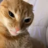 glprdx