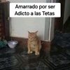 luisandrejimenez