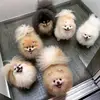 5starbabies