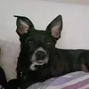 chiara_solimano