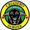 DorperLosPRIMOS