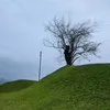 lostinillusi0n