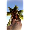 blazzin.kayhana