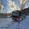 busfahrermichael